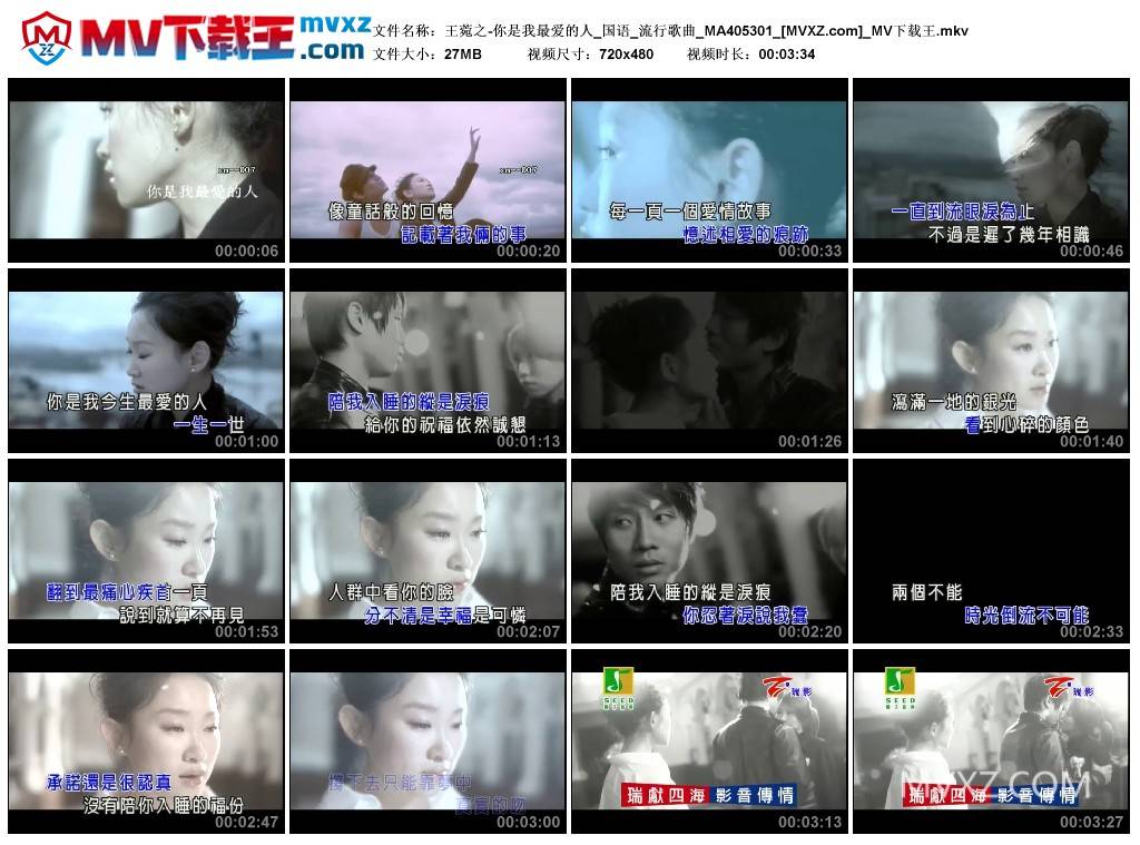 王菀之-你是我最爱的人_国语_流行歌曲_MA405301